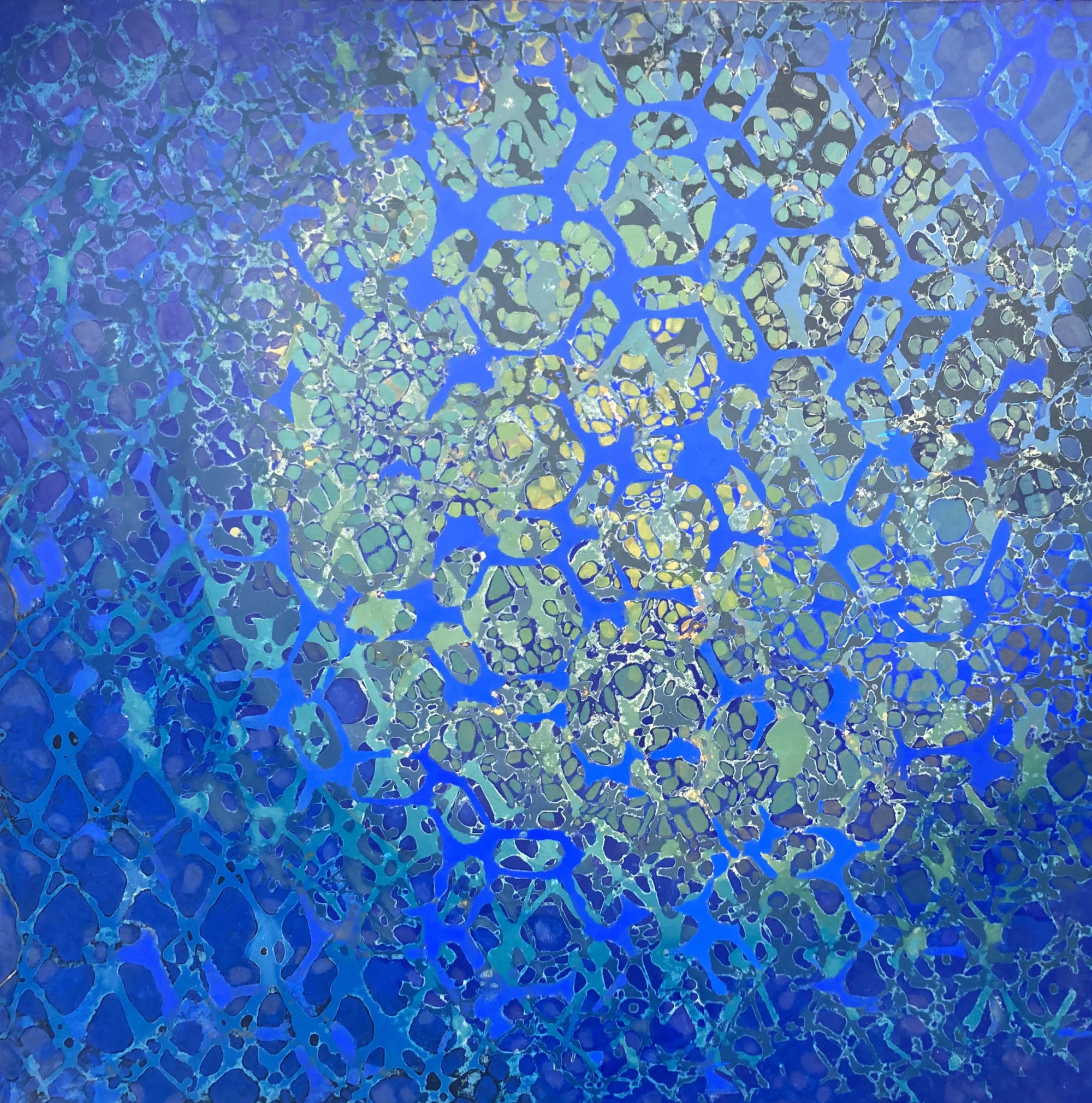 The Living Wall